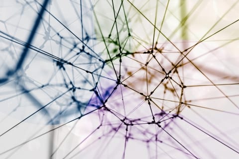 Improved accountability: The role of the perpetrator intervention systems – project update