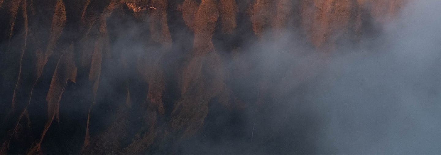 Kia kaha, Christchurch <br>ANROWS Notepad 21 March 2019