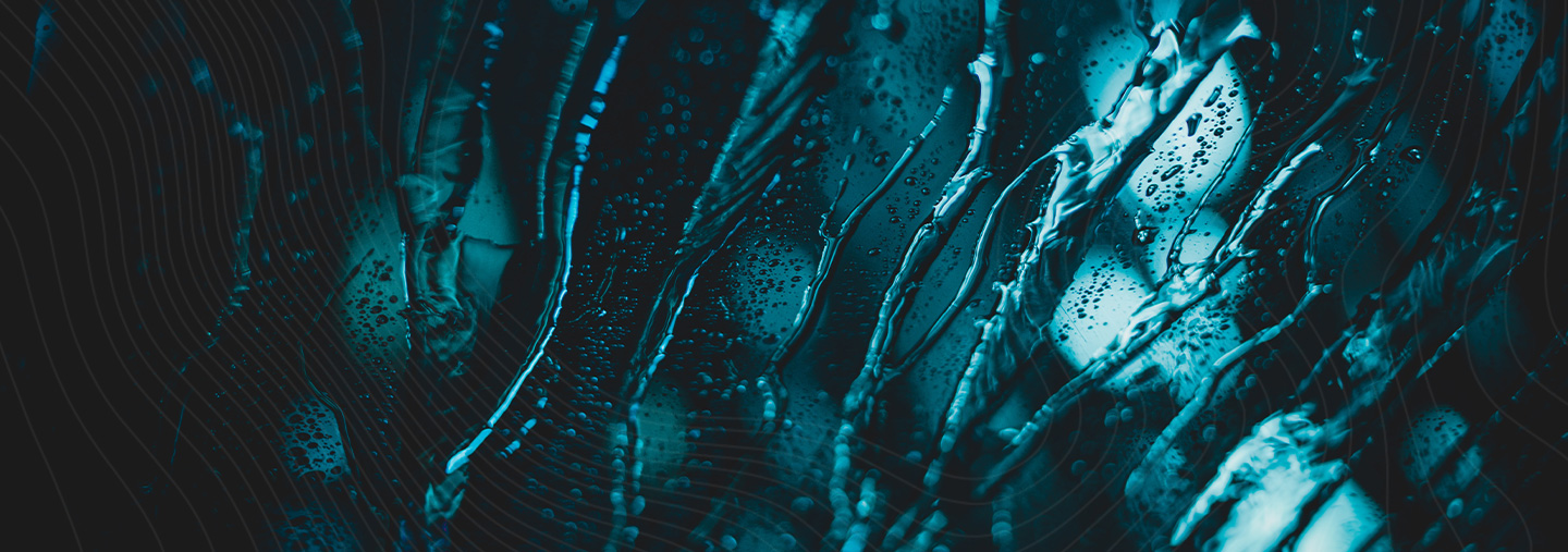 ANROWS Notepad 12 December 2019